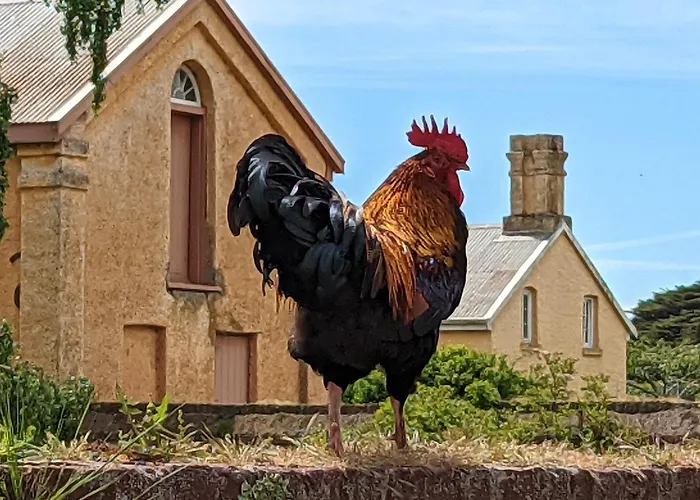 Woolmers Estate